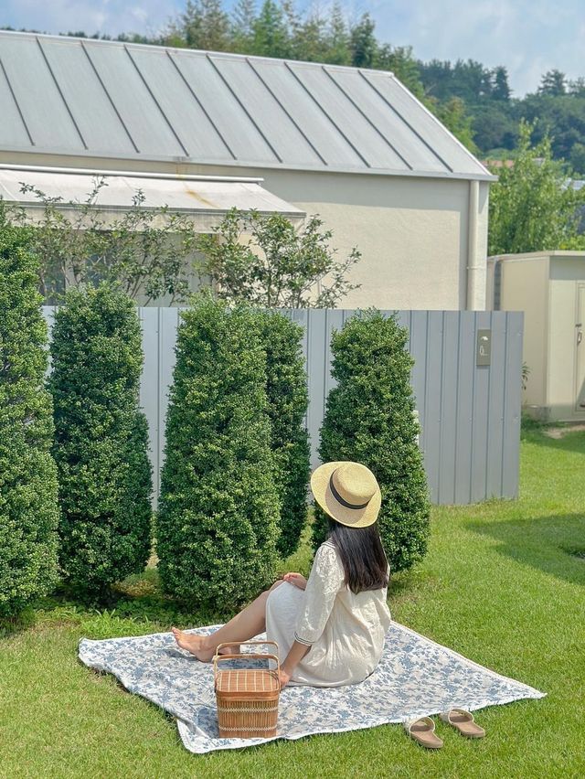한 여름의 푸른 빛 힐링, 오늘의 우리 집🏠