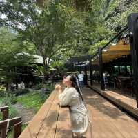 Into the forest คาเฟ่ในหุบเขา @กระบี่