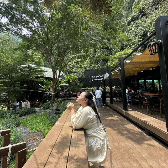 Into the forest คาเฟ่ในหุบเขา @กระบี่