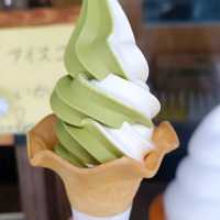 nanzoin temple วัดนันโซอิน