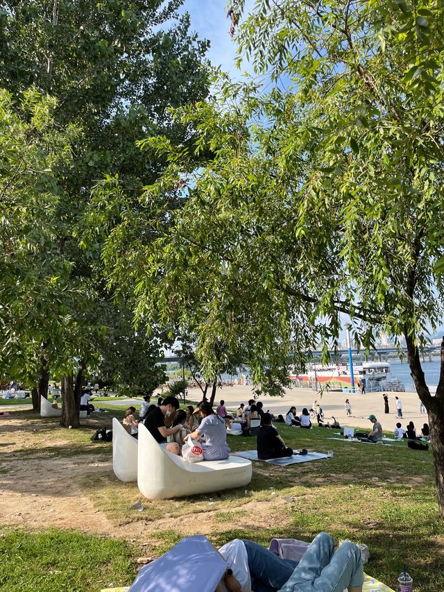 한강 나둘이 - 여의도 한강공원 피크닉 데이트❣️