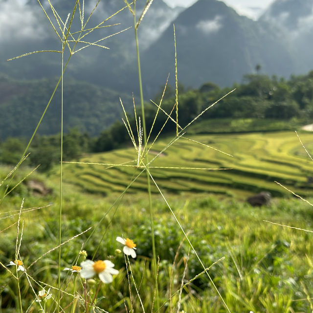 Weekend in Pu Luong retreat.