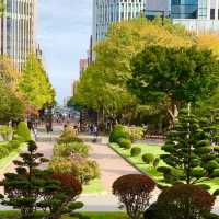 🏰이국적인 풍경과 여유로운 🌳삿포로에 위치한 홋카이도청😌