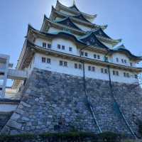 愛知旅行！絶対はずせない名古屋城