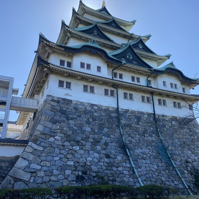 愛知旅行！絶対はずせない名古屋城
