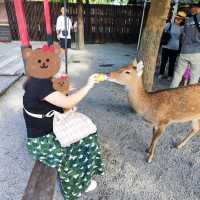宜蘭超乾淨親子農場，加送落羽松秘境