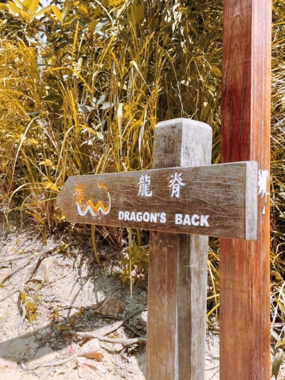 「最佳市區遠足徑」的龍脊🍁🐲🏔️