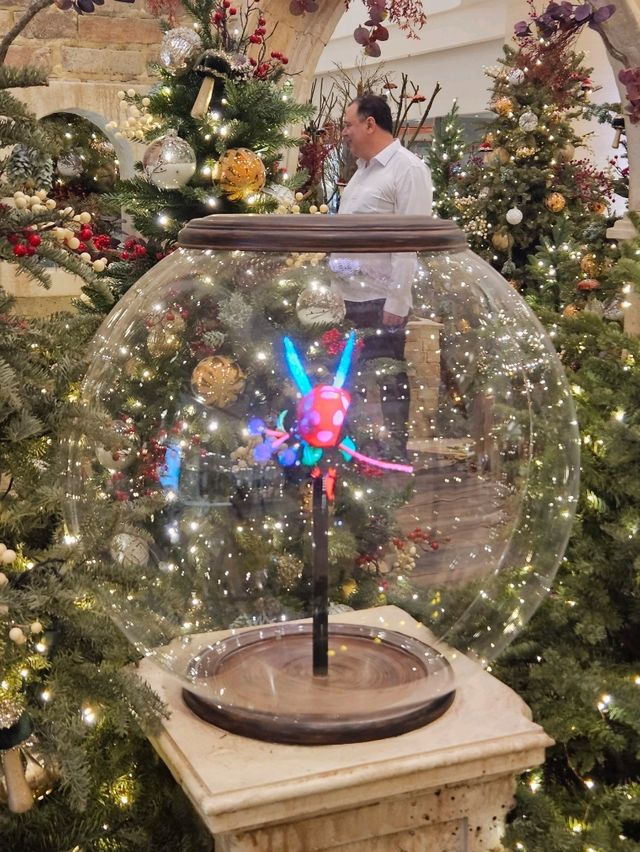 非常有聖誕氣氛的精靈森林