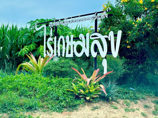  ไร่เกษมสุข🌱เกษตรอินทรีย์กุยบุรี 🥬🍅🌽