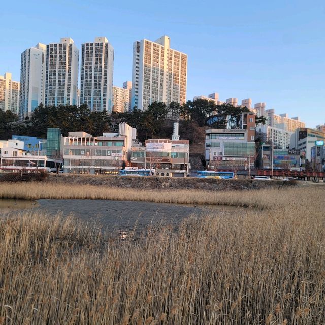 다대포 해변공원
