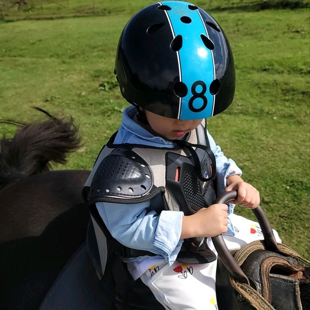제주는 말이죠?! 🐎풍경을 즐기며 말을타보자 어승생승마장