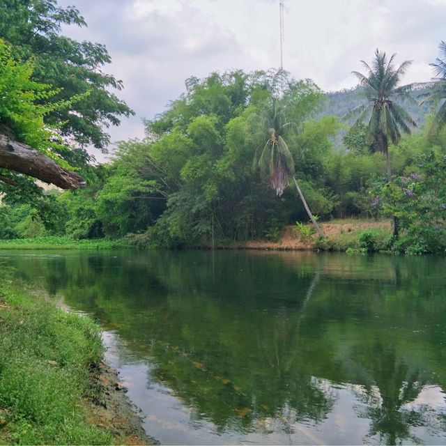 ภารกิจ ล่องเรือ ให้อาหารลิงที่ แก่งกระจาน