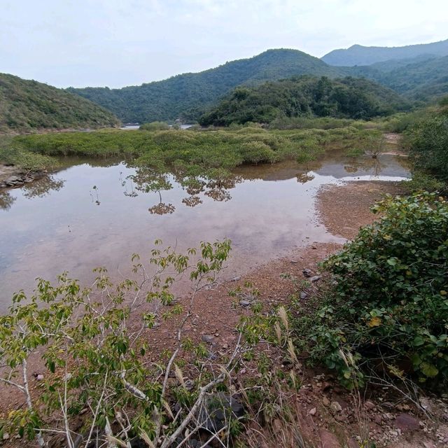 由烏蛟騰步行往三亞村