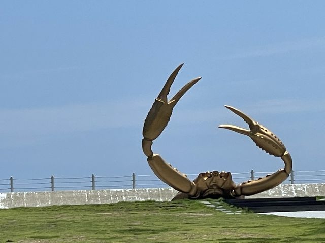 겨울엔 제철대게지🦀 영덕 해파랑공원과 동광어시장