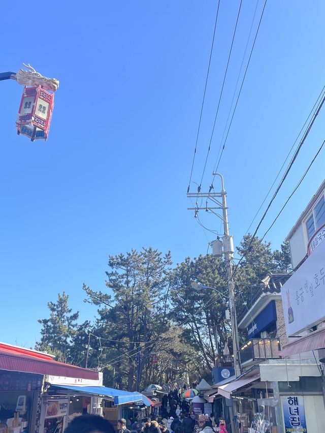 바닷가에 있는 절 “해동 용궁사”