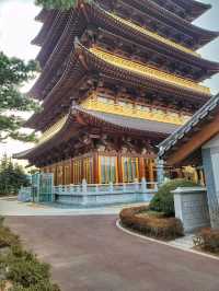요즘 경주의 랜드마크느낌! 황룡원 중도타워🏯