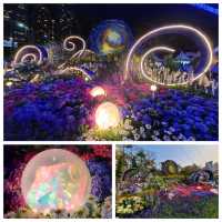 目不暇給嘅花展🌺😍@維園