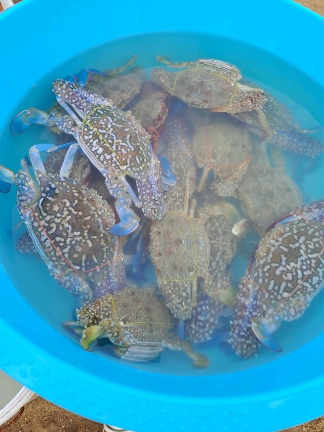 ช็อปของทะเลสดๆ จากตลาดประมงพื้นบ้าน หาดจอมเทียน