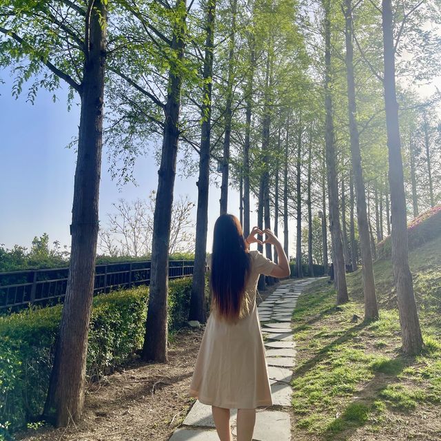 동래 역사여행 동래읍성, 동래사적공원🌿