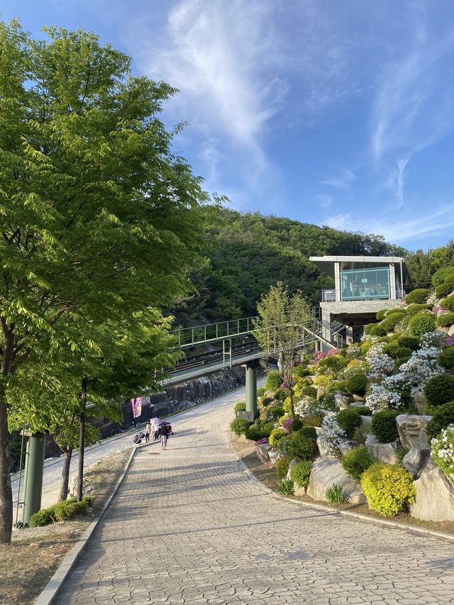 인생샷 절로 나오는 포천 아트밸리⛰️💚