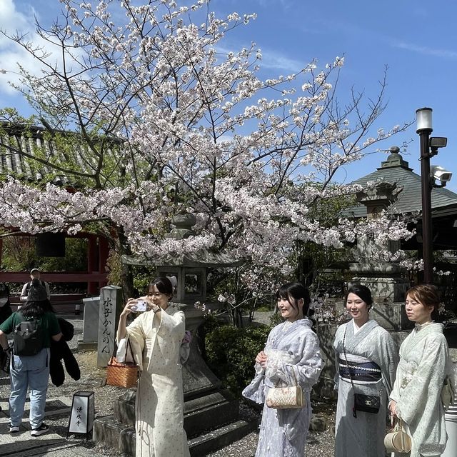 京都清水寺：賞櫻參拜🌸逛逛拍照地分享
