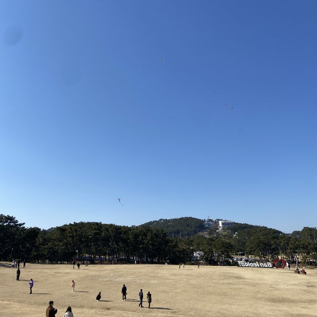울산 일출 명소 간절곶 낮에 간 후기