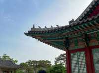  [창경궁]  서울 도심 속 고궁 나들이