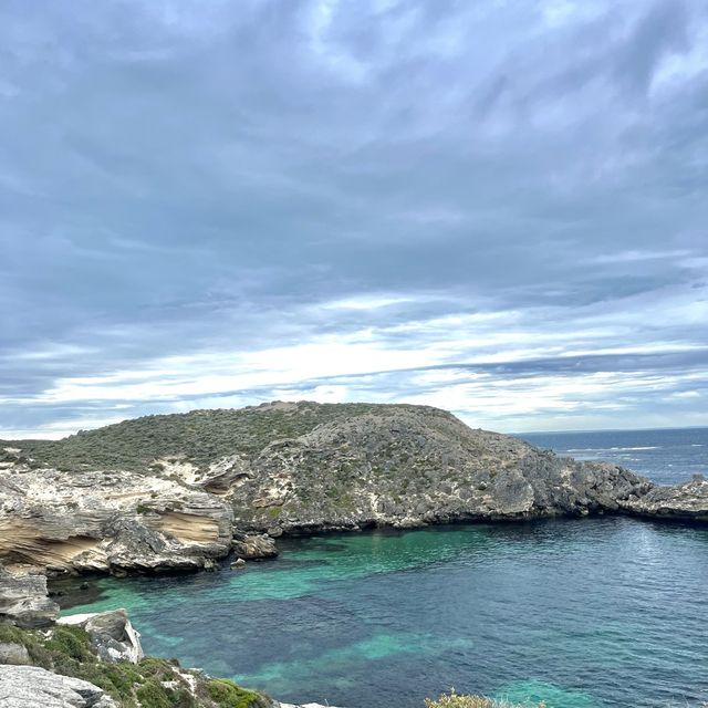 Rottnest Island Fremantle Perth 🇦🇺