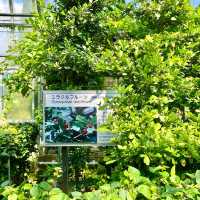親子で体験しながら学ぼう！バナナワニ園