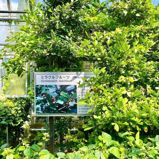 親子で体験しながら学ぼう！バナナワニ園