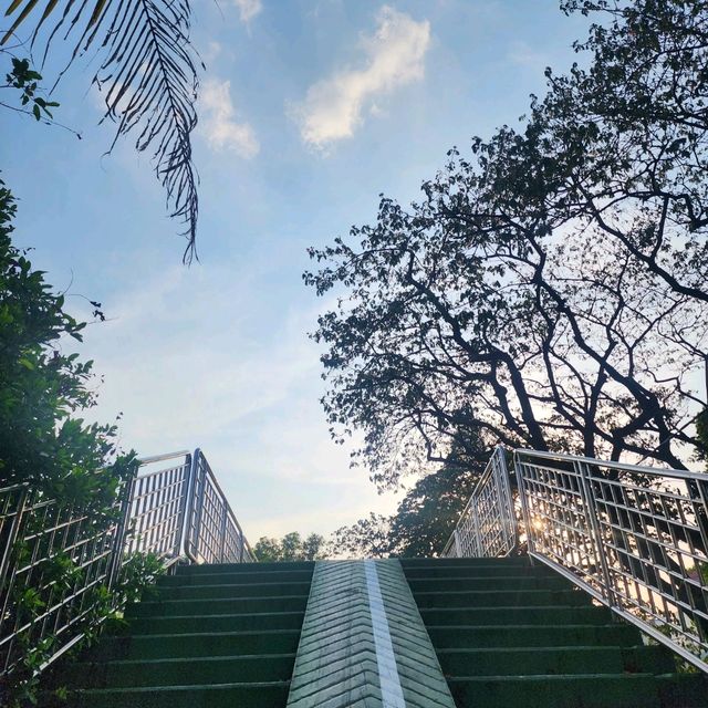 สะพานเขียวฟิวเมืองนอก