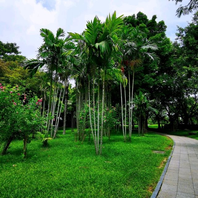 深圳灣公園•紅樹林區