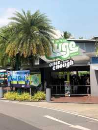聖淘沙必玩😝 Skyline Luge Sentosa🙈親子遊活動推介❤️❤️