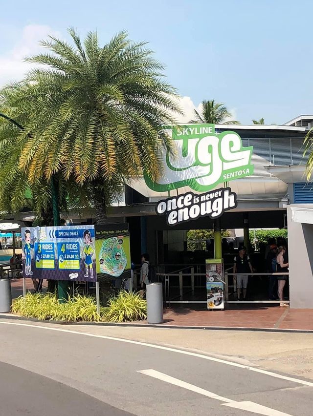 聖淘沙必玩😝 Skyline Luge Sentosa🙈親子遊活動推介❤️❤️