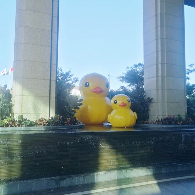 以搖滾音樂巨星🎸⭐️為主題的深圳國際酒店
