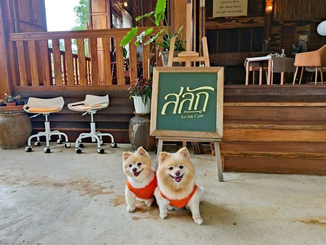 ร้านอาหารและคาเฟ่ ที่ระยอง น้องหมาเข้าได้