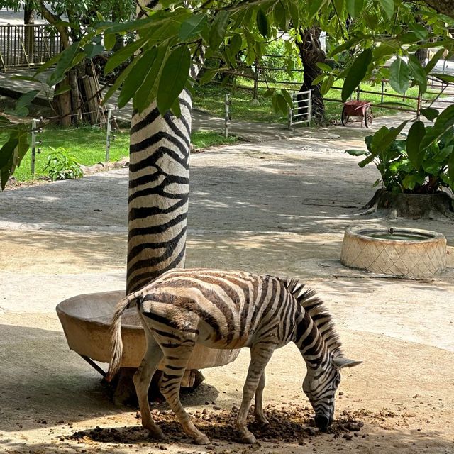 深圳野生動物園