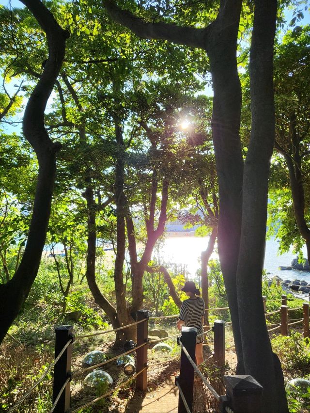 진하해수욕장 가면 여기도 꼭! 무인도 명선도🏝