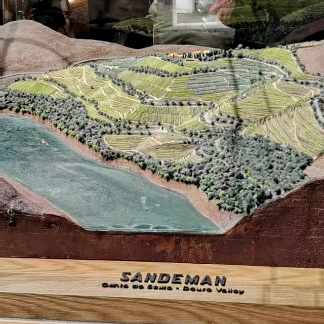 去到 Porto 區點可以唔去參觀酒廠