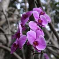 พักที่น้ำพุร้อนสันกำแพง ฟรีแช่น้ำแร่และไข่ไก่