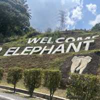 國家公園的大象保育公園 🐘