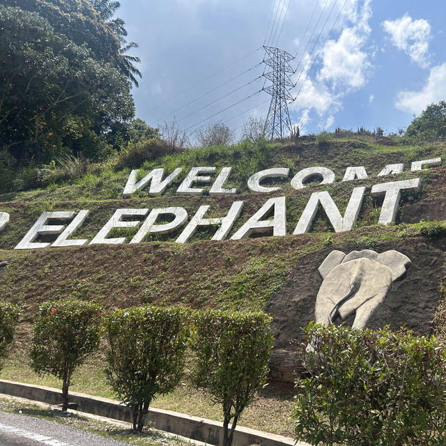 國家公園的大象保育公園 🐘