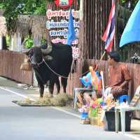 ตลาดไทยย้อนยุคบ้านระจัน