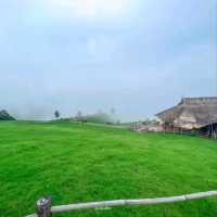 Akha Framville🐑🌳🍃