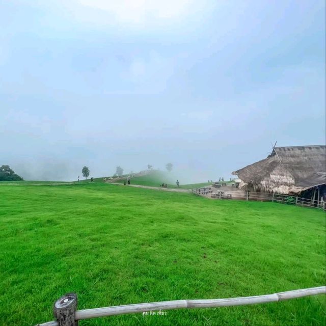 Akha Framville🐑🌳🍃