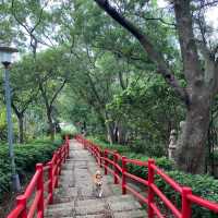 龜山步道⛰️