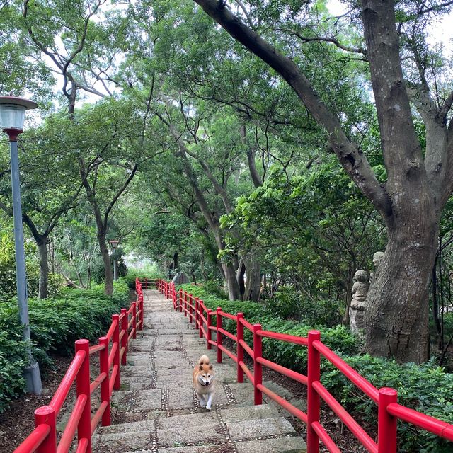 龜山步道⛰️