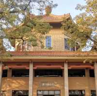 🏛️🌸國父足跡👣孫中山紀念堂🏛️🌸