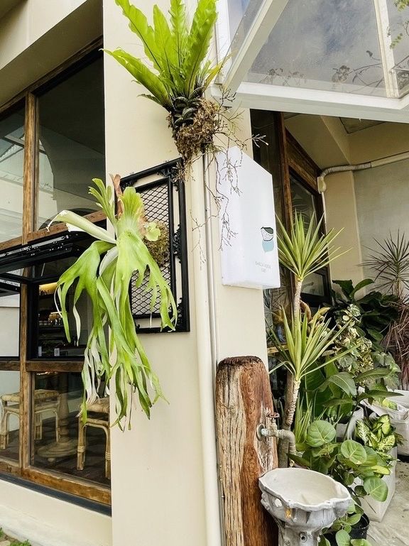 綠意盎然的咖啡店- 小綠舟咖啡 Barca Verde Cafe