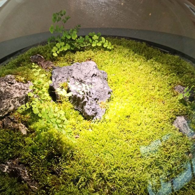 日月潭精緻飯店~ 雲品溫泉酒店